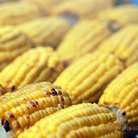 Char-grilled Half Corn on the Cob